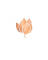 Kiyoerah